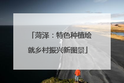 菏泽：特色种植绘就乡村振兴新图景