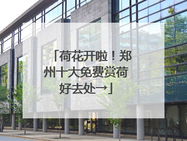 荷花开啦！郑州十大免费赏荷好去处→