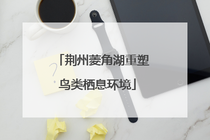 荆州菱角湖重塑鸟类栖息环境