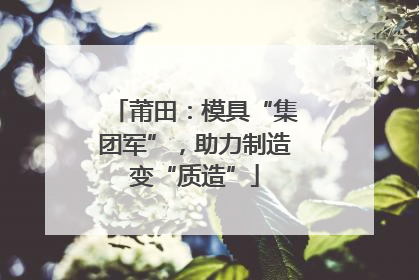 莆田：模具“集团军”，助力制造变“质造”