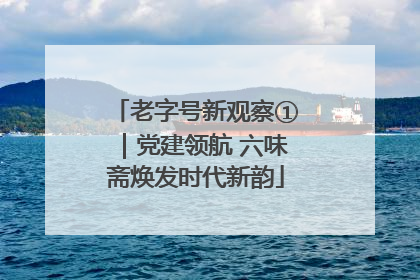 老字号新观察①｜党建领航 六味斋焕发时代新韵