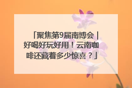 聚焦第9届南博会｜好喝好玩好用！云南咖啡还藏着多少惊喜？