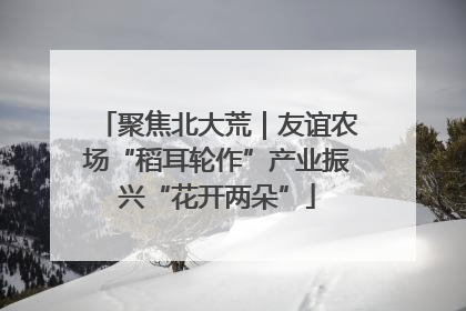 聚焦北大荒｜友谊农场“稻耳轮作”产业振兴“花开两朵”
