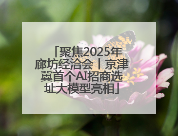 聚焦2025年廊坊经洽会丨京津冀首个AI招商选址大模型亮相