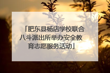 肥东县杨店学校联合八斗派出所举办安全教育志愿服务活动