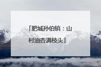 肥城孙伯镇：山村油杏满枝头