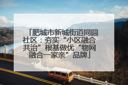 肥城市新城街道同圆社区：夯实“小区融合共治”根基做优“物网融合一家亲”品牌