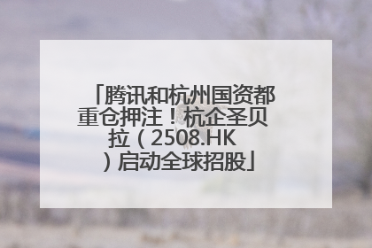 腾讯和杭州国资都重仓押注！杭企圣贝拉（2508.HK）启动全球招股