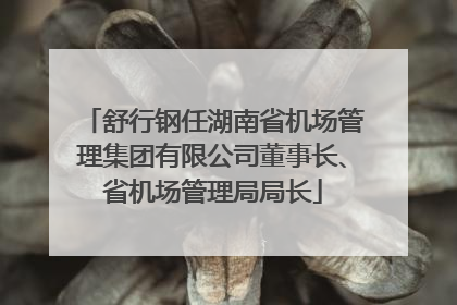 舒行钢任湖南省机场管理集团有限公司董事长、省机场管理局局长