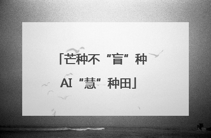 芒种不“盲”种 AI“慧”种田