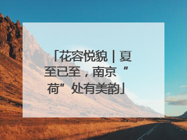花容悦貌｜夏至已至，南京“荷”处有美韵