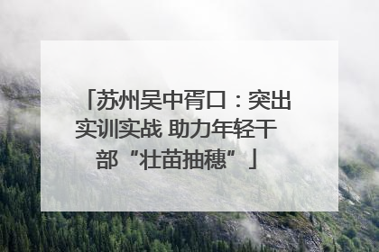 苏州吴中胥口：突出实训实战 助力年轻干部“壮苗抽穗”