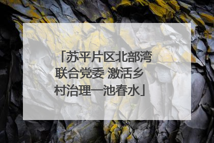 苏平片区北部湾联合党委 激活乡村治理一池春水