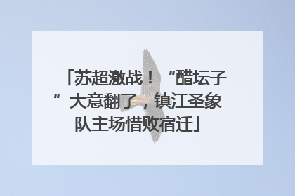 苏超激战！“醋坛子”大意翻了，镇江圣象队主场惜败宿迁