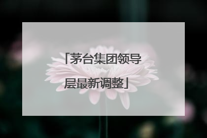 茅台集团领导层最新调整