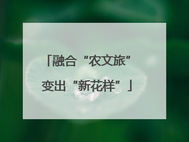 融合“农文旅” 变出“新花样”