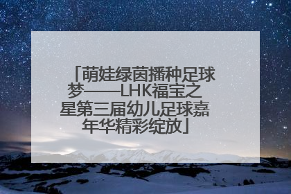萌娃绿茵播种足球梦——LHK福宝之星第三届幼儿足球嘉年华精彩绽放