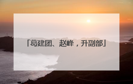 葛建团、赵峰，升副部