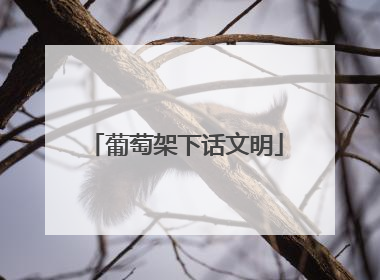 葡萄架下话文明