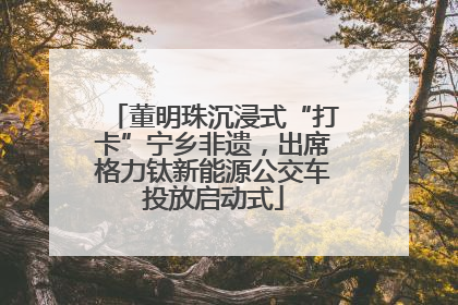 董明珠沉浸式“打卡”宁乡非遗，出席格力钛新能源公交车投放启动式