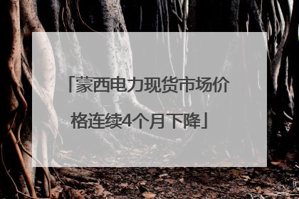 蒙西电力现货市场价格连续4个月下降