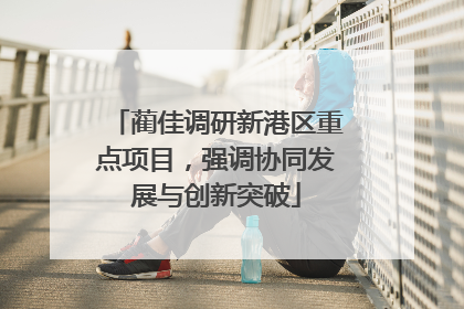蔺佳调研新港区重点项目，强调协同发展与创新突破