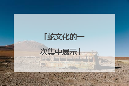 蛇文化的一次集中展示