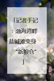 记者手记：渤海湾畔盐碱滩变身“新粮仓”