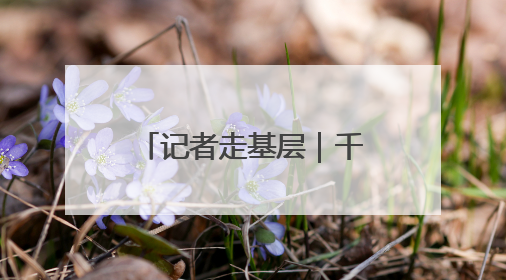 记者走基层｜千亩玫瑰花开 美景带来“钱景”