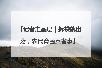 记者走基层｜拆袋就出菇，农民育菌真省事