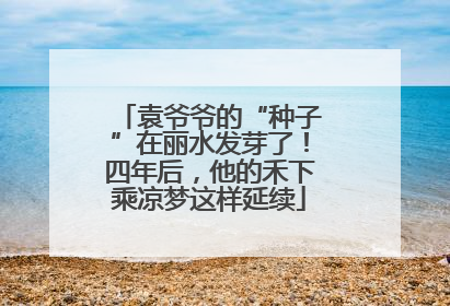 袁爷爷的“种子”在丽水发芽了！四年后，他的禾下乘凉梦这样延续