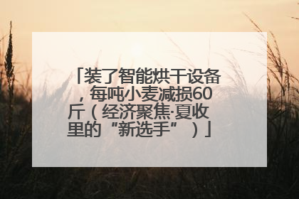 装了智能烘干设备，每吨小麦减损60斤（经济聚焦·夏收里的“新选手”）