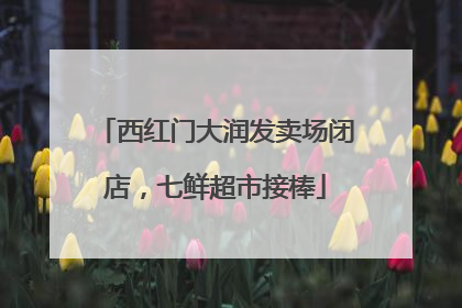 西红门大润发卖场闭店，七鲜超市接棒