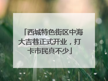 西城特色街区中海大吉巷正式开业，打卡市民真不少
