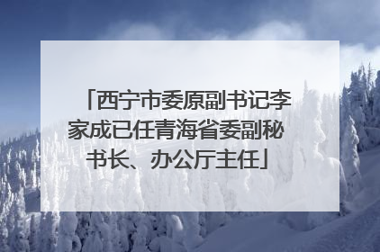 西宁市委原副书记李家成已任青海省委副秘书长、办公厅主任