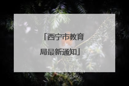 西宁市教育局最新通知