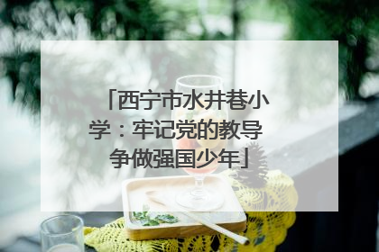 西宁市水井巷小学：牢记党的教导 争做强国少年