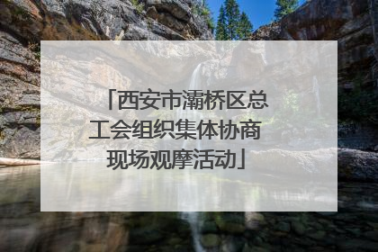 西安市灞桥区总工会组织集体协商现场观摩活动