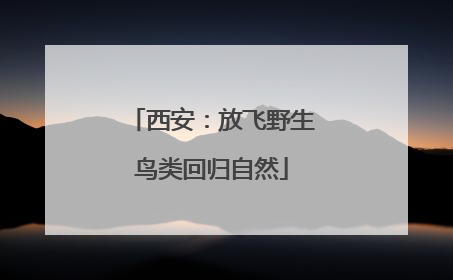 西安：放飞野生鸟类回归自然