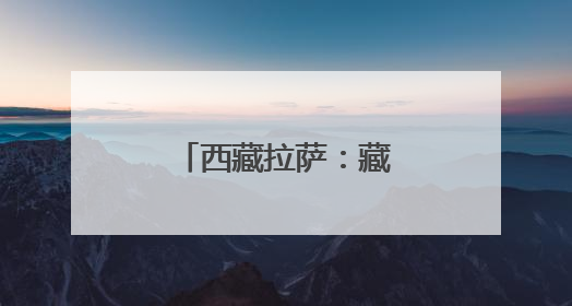 西藏拉萨：藏马鸡林间觅食