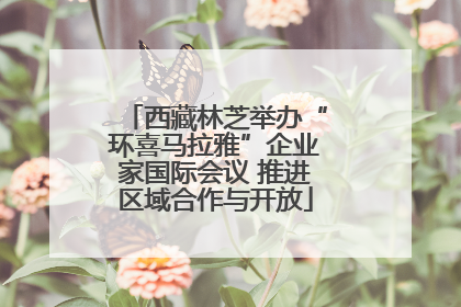 西藏林芝举办“环喜马拉雅”企业家国际会议 推进区域合作与开放