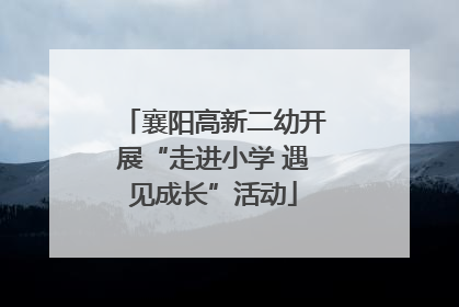 襄阳高新二幼开展“走进小学 遇见成长”活动