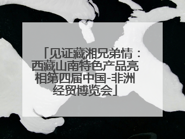 见证藏湘兄弟情：西藏山南特色产品亮相第四届中国-非洲经贸博览会