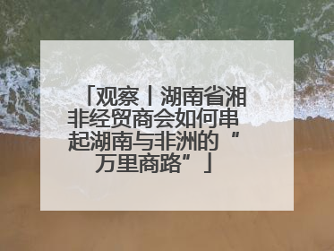 观察丨湖南省湘非经贸商会如何串起湖南与非洲的“万里商路”