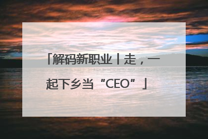 解码新职业丨走，一起下乡当“CEO”