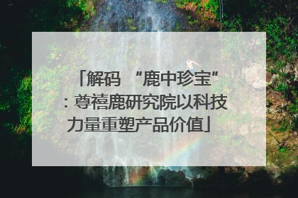 解码 “鹿中珍宝”：尊禧鹿研究院以科技力量重塑产品价值