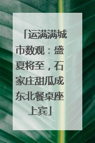 运满满城市数观：盛夏将至，石家庄甜瓜成东北餐桌座上宾