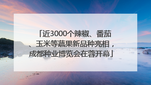 近3000个辣椒、番茄、玉米等蔬果新品种亮相，成都种业博览会在蓉开幕