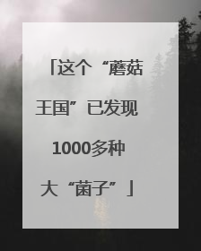 这个“蘑菇王国”已发现1000多种大“菌子”