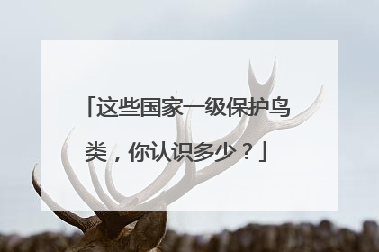这些国家一级保护鸟类，你认识多少？